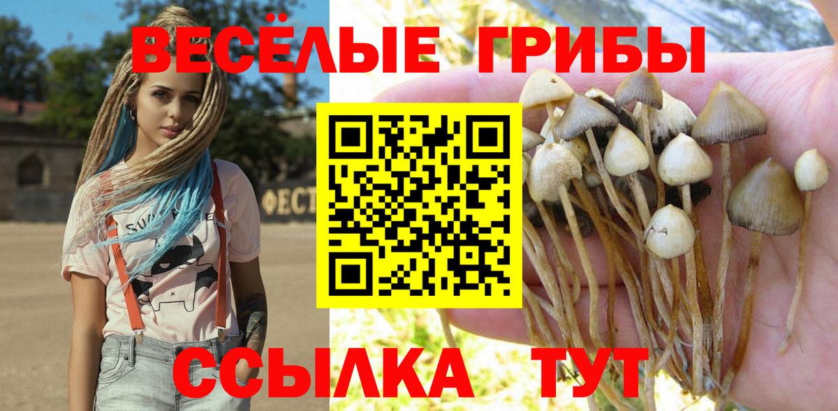 Галлюциногенные грибы Psilocybine cubensis Алушта