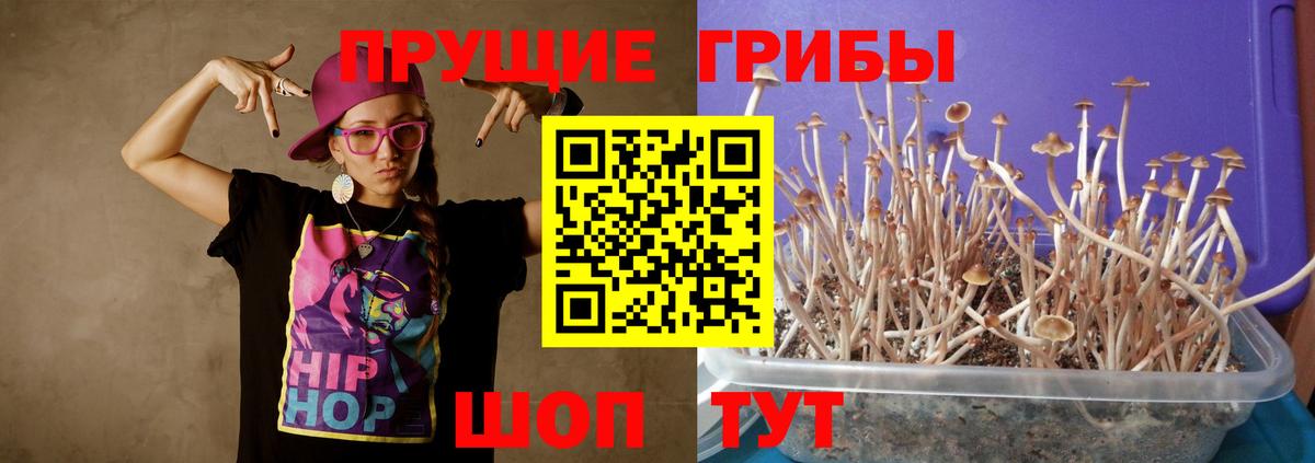 Алушта  Псилоцибиновые грибы Cubensis  наркошоп  Вход с VPN  Псилоцибиновые грибы мухоморы 